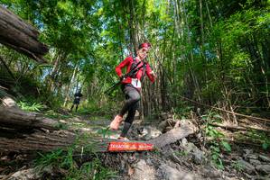 BIB: 
                            <button type="button" onclick="openModal(19389256)" class="btn btn-primary btn-sm float-right btn-popup" data-toggle="modal" data-target=".modal-high-quality">
                        <i class="fas fa-shopping-cart"></i> Add to Cart
                    </button>
                                            <button type="button" onclick="isThisMe(19389256, true)" class="btn btn-success btn-sm float-right btn-popup btn-isme hidden" data-toggle="tooltip" data-placement="bottom" title="นี่คือรูปของคุณใช่ไหม คลิกที่นี่เพื่อเอาเข้าอัลบั้ม">
                        <i class="fas fa-plus"></i> Add to album
                    </button>
                    <button type="button" onclick="isThisMe(19389256, false)" class="btn btn-warning btn-sm float-right btn-popup btn-isnotme hidden">
                        <i class="fas fa-ban"></i> Remove from album
                    </button>